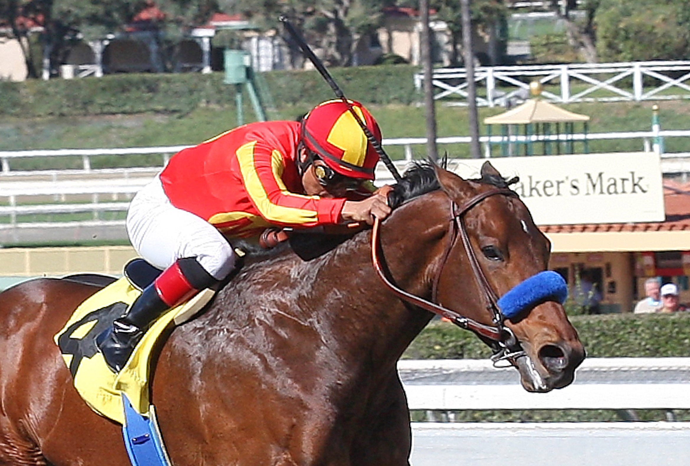 Santa Anita Schedule 2025 Pdf Santa Anita Schedule 2025 Pdf